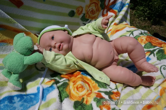 Часть первая. Мои крупняшки-пухлячки Беренжер