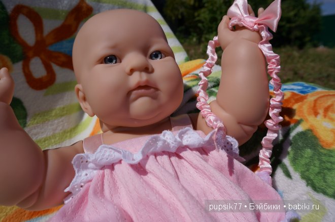 Часть первая. Мои крупняшки-пухлячки Беренжер (фото 8)