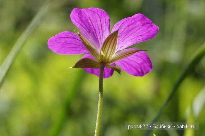 Анабель и ее медвежонок. Кукла Heidi Plusczok