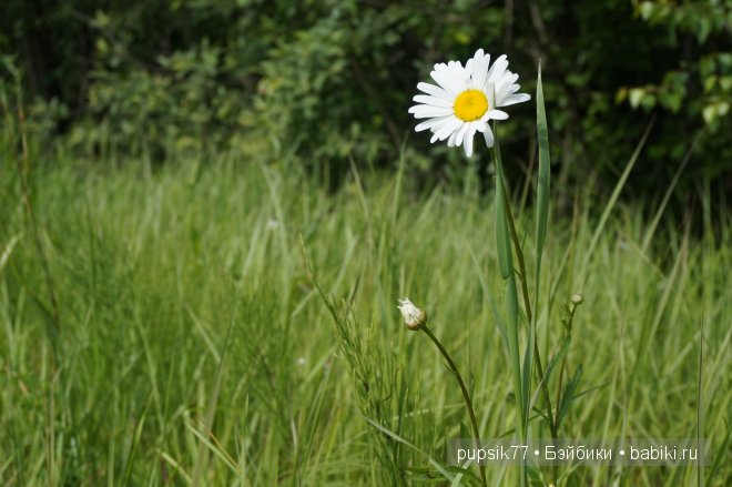 Анабель и ее медвежонок. Кукла Heidi Plusczok