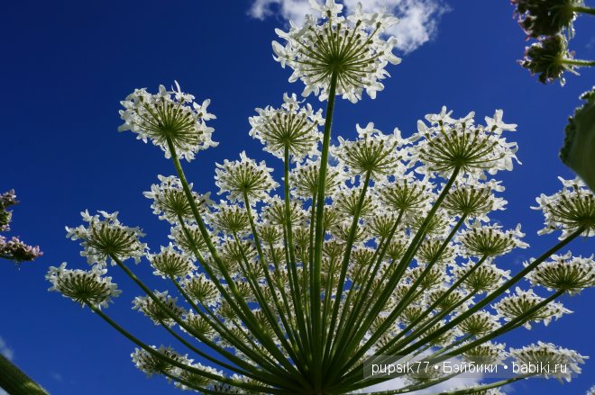 Анабель и ее медвежонок. Кукла Heidi Plusczok