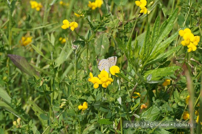 Анабель и ее медвежонок. Кукла Heidi Plusczok