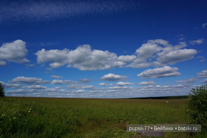 Ромашковое настроение или к нам приехала сестричка, Адора | Бэйбики Ромашковое настроение или к нам приехала сестричка, Адора (фото 10)