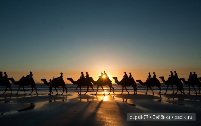 Томная красавица из Египта, Adora