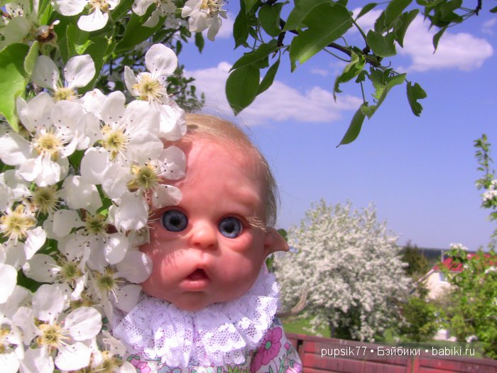 Фенечка и Филипок или история встречи. Часть первая (фото 3)