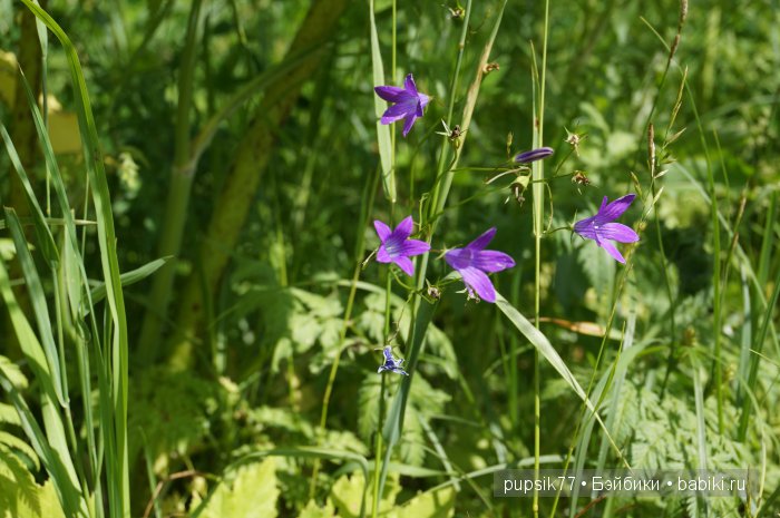 Анабель и ее друг — Куклы Heidi Plusczok (Хайди/Хейди Плюсчок) — фото