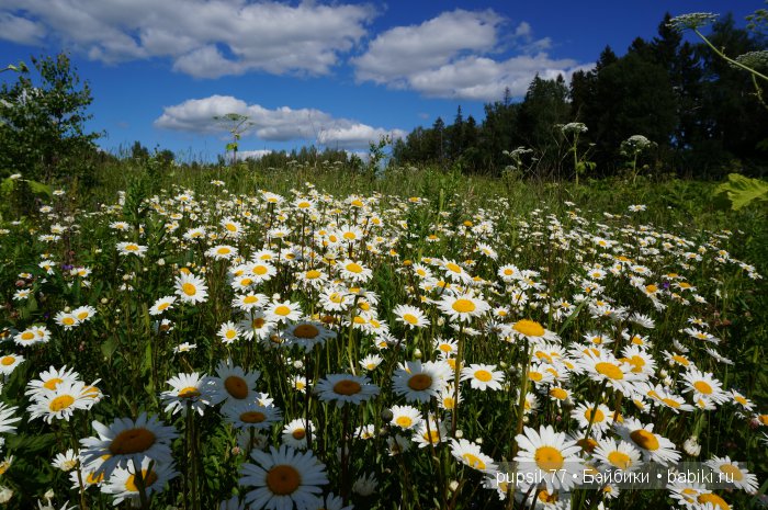 Анабель и ее друг — Куклы Heidi Plusczok (Хайди/Хейди Плюсчок) — фото