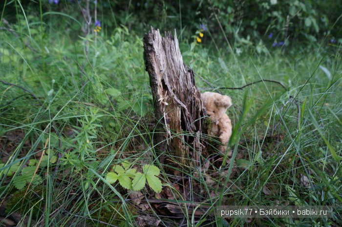 Анабель и ее друг — Куклы Heidi Plusczok (Хайди/Хейди Плюсчок) — фото