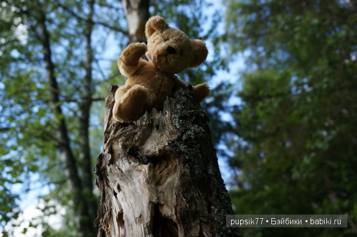 Анабель и ее друг — Куклы Heidi Plusczok (Хайди/Хейди Плюсчок) — фото
