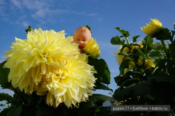 Просто Василий — Игровые мини (фото 8)