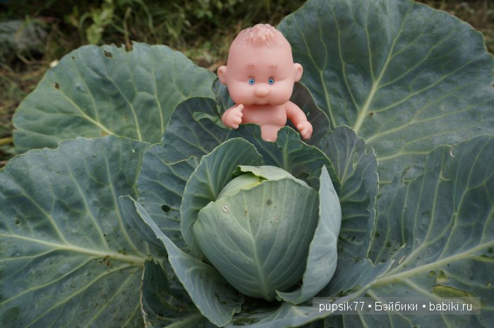 Просто Василий — Игровые мини