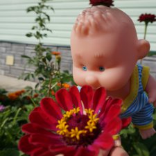 Просто Василий