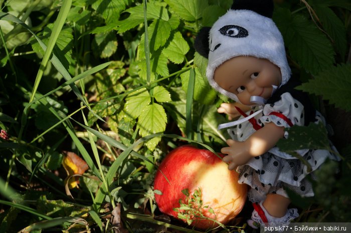 2+2=4! Четыре хитрых глаза