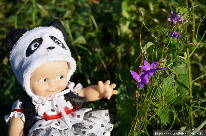 2+2=4! Четыре хитрых глаза