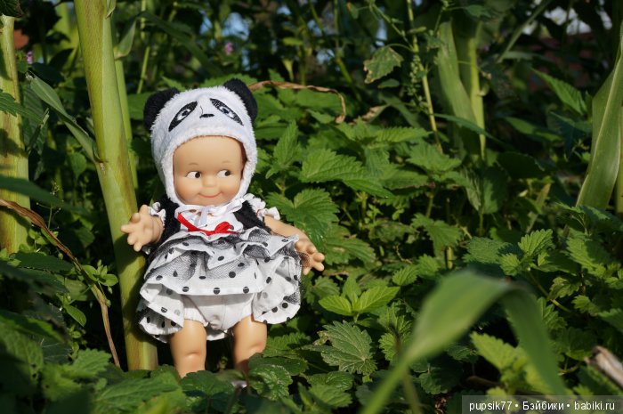 2+2=4! Четыре хитрых глаза