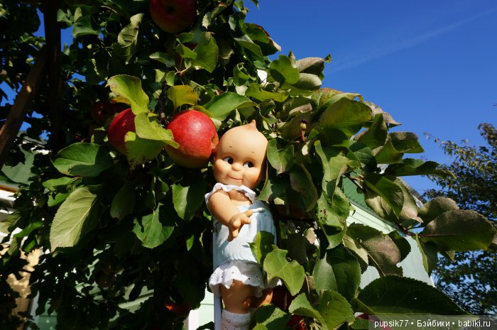 2+2=4! Четыре хитрых глаза