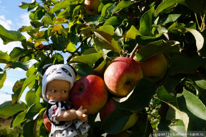 2+2=4! Четыре хитрых глаза