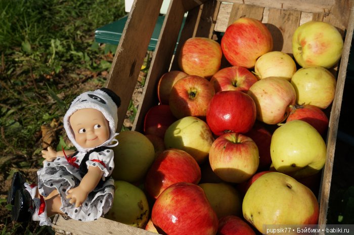 2+2=4! Четыре хитрых глаза