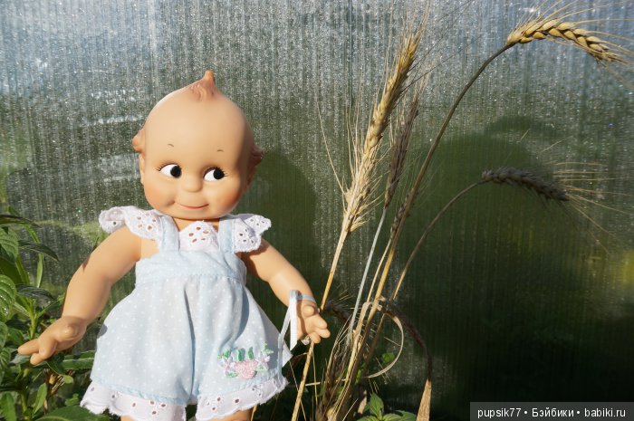 2+2=4! Четыре хитрых глаза