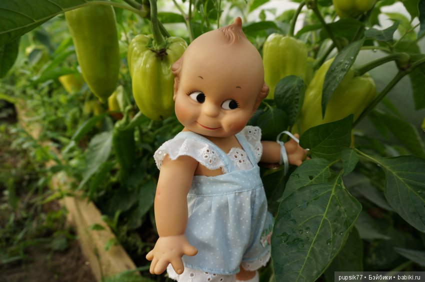 2+2=4! Четыре хитрых глаза