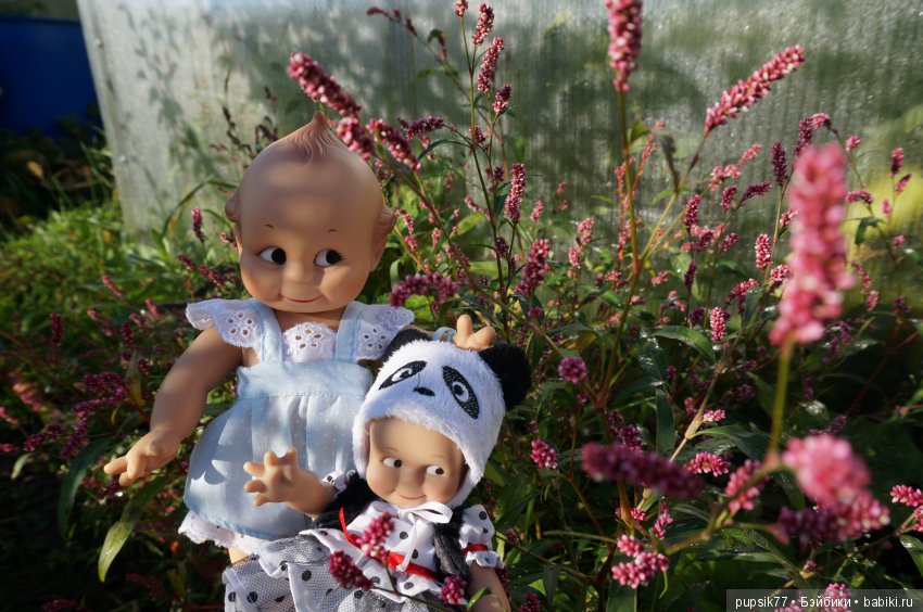 2+2=4! Четыре хитрых глаза