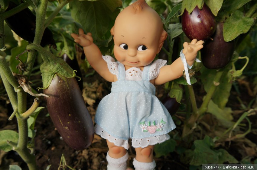 2+2=4! Четыре хитрых глаза