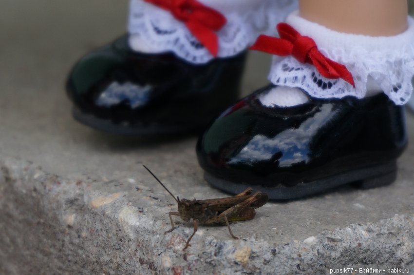 2+2=4! Четыре хитрых глаза