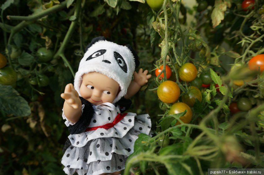 2+2=4! Четыре хитрых глаза