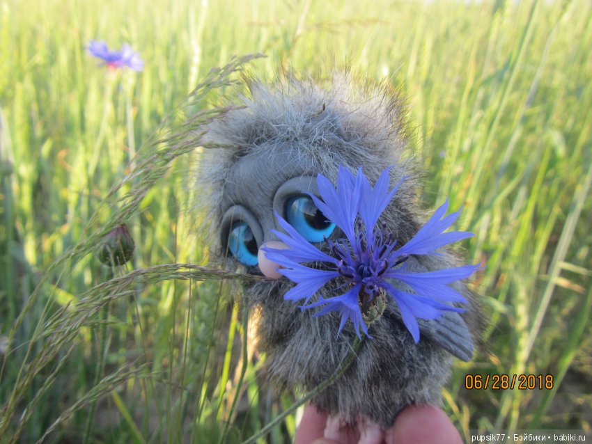 Цветочный Дим-Димыч или просто Димочка