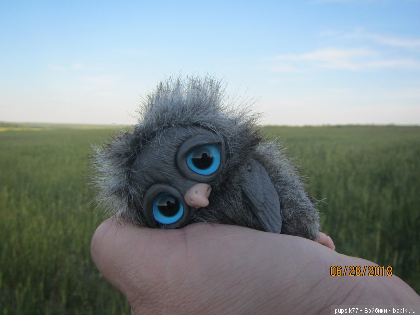 Цветочный Дим-Димыч или просто Димочка