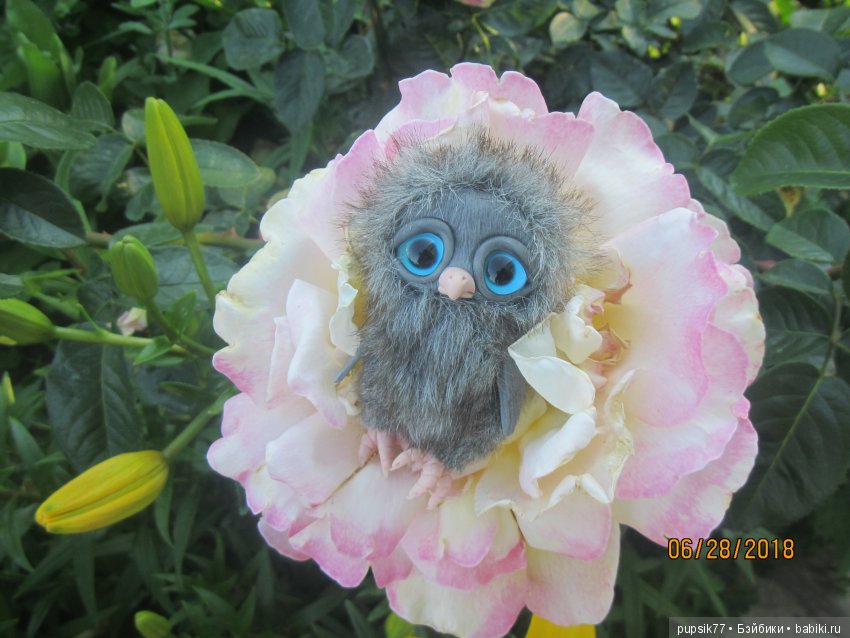 Цветочный Дим-Димыч или просто Димочка (фото 2)