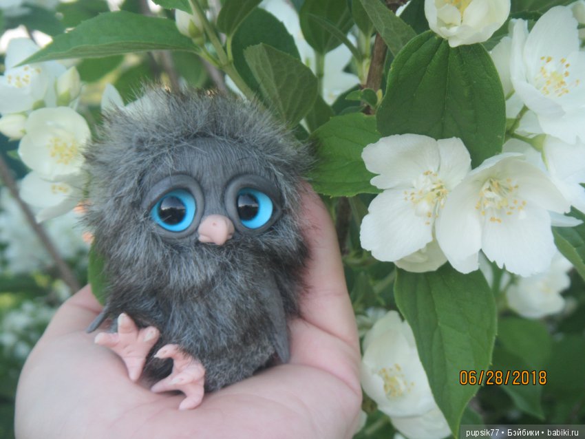 Цветочный Дим-Димыч или просто Димочка