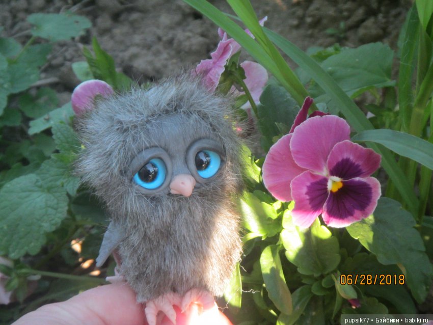 Цветочный Дим-Димыч или просто Димочка (фото 7)