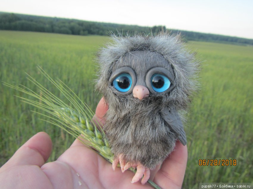 Цветочный Дим-Димыч или просто Димочка