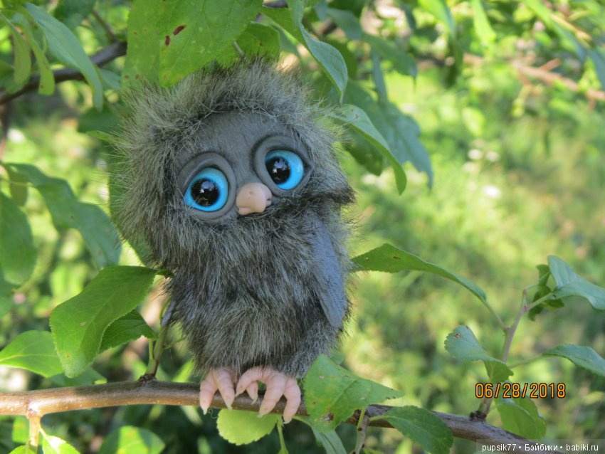 Цветочный Дим-Димыч или просто Димочка (фото 4)