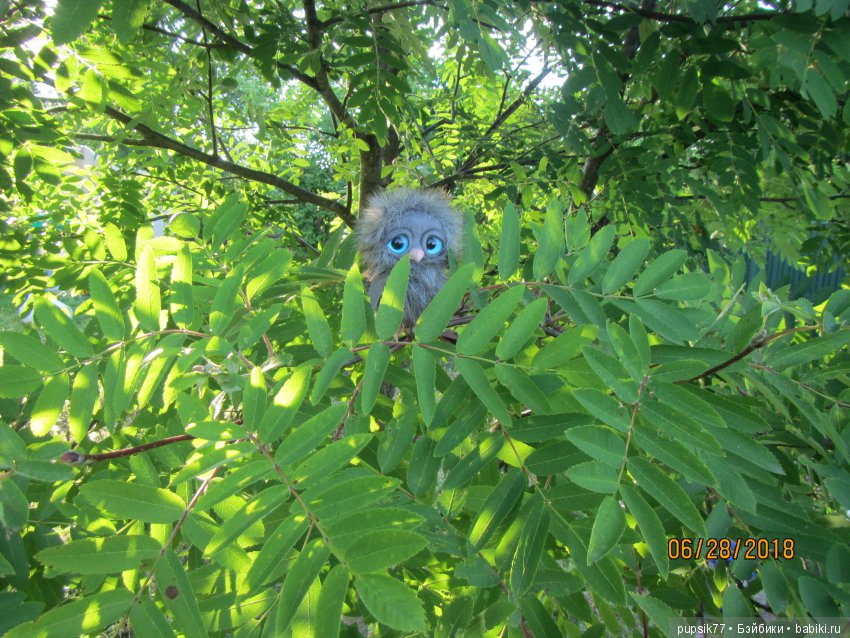 Цветочный Дим-Димыч или просто Димочка