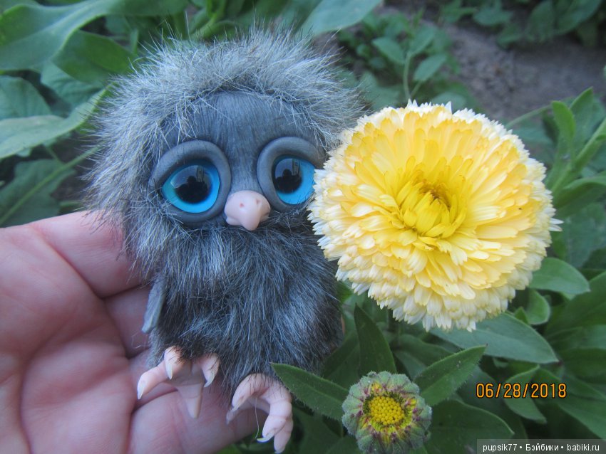 Цветочный Дим-Димыч или просто Димочка