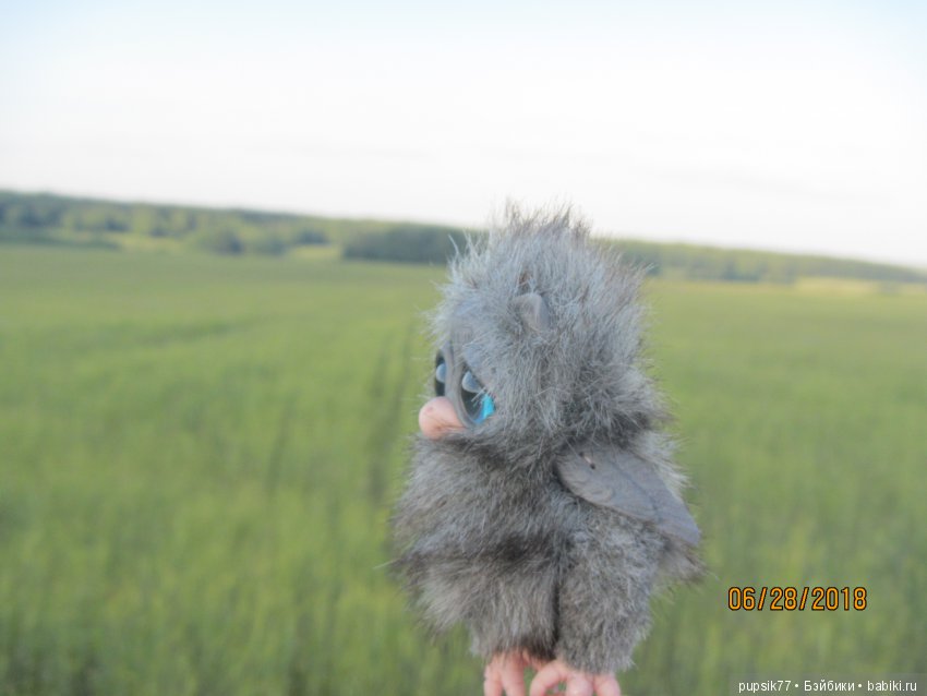 Цветочный Дим-Димыч или просто Димочка