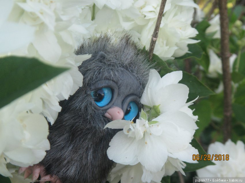 Цветочный Дим-Димыч или просто Димочка (фото 9)