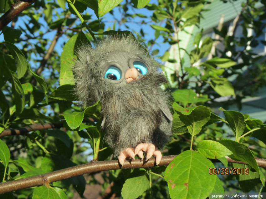 Цветочный Дим-Димыч или просто Димочка (фото 5)