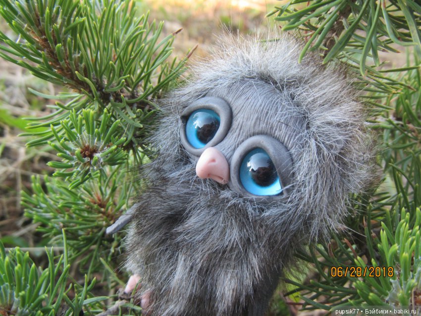 Цветочный Дим-Димыч или просто Димочка