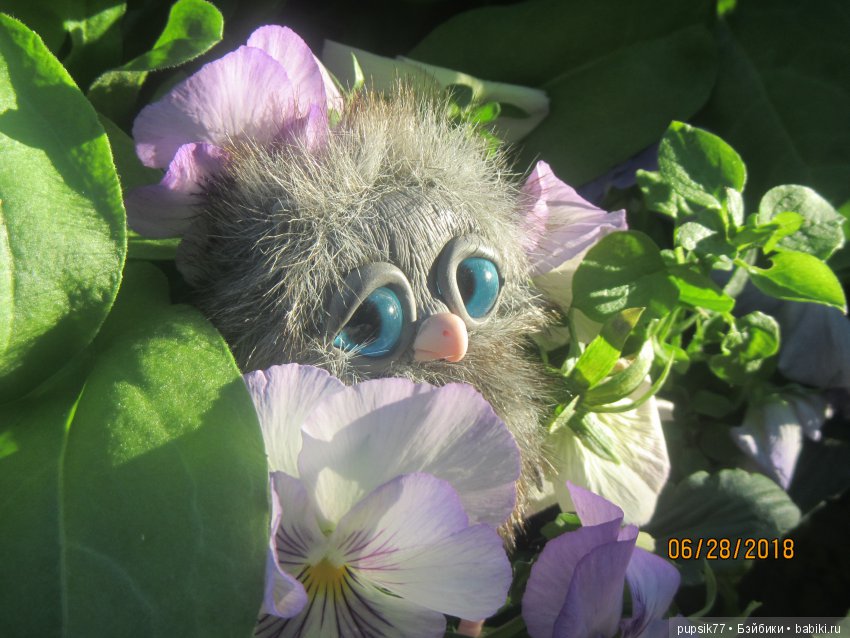 Цветочный Дим-Димыч или просто Димочка (фото 6)