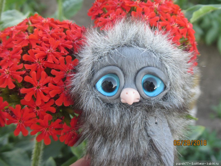 Цветочный Дим-Димыч или просто Димочка