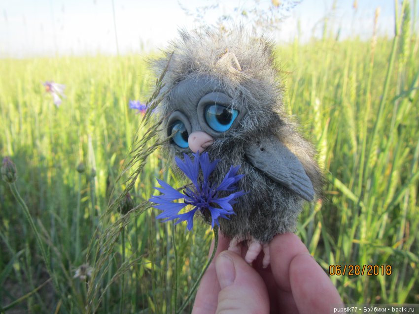 Цветочный Дим-Димыч или просто Димочка