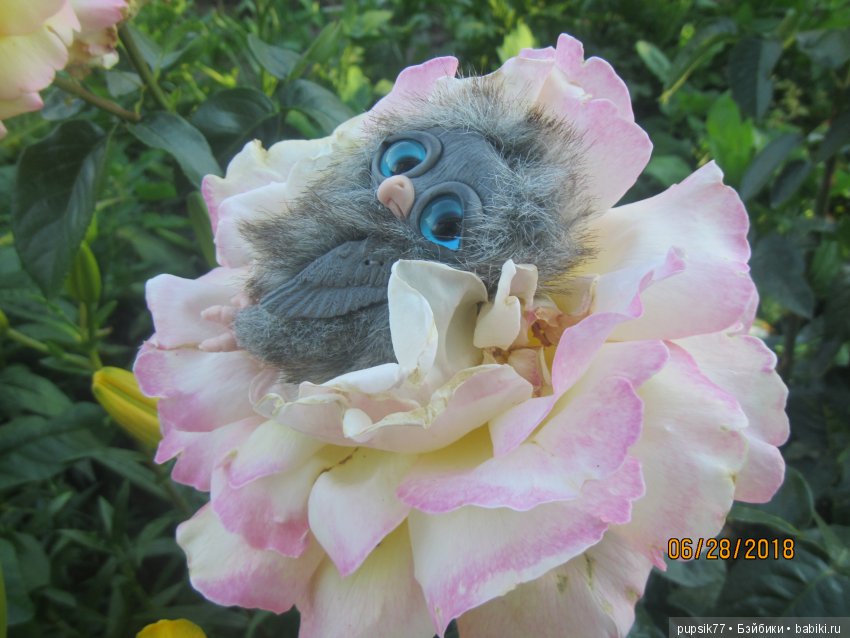 Цветочный Дим-Димыч или просто Димочка