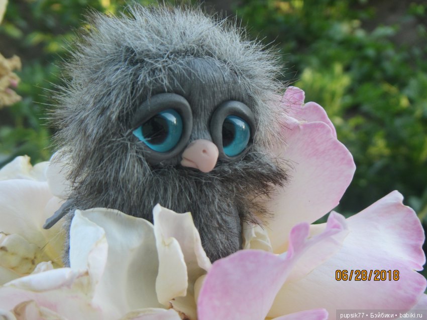 Цветочный Дим-Димыч или просто Димочка (фото 3)