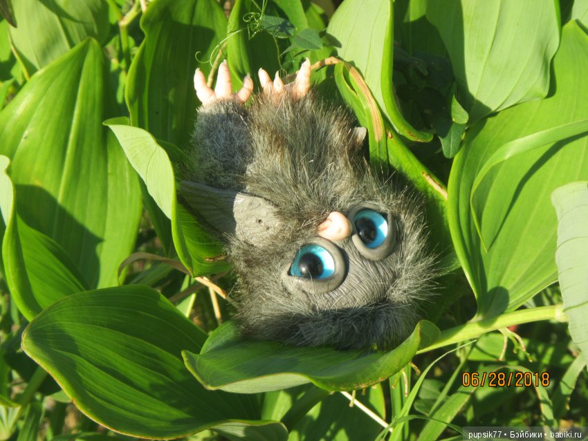 Цветочный Дим-Димыч или просто Димочка