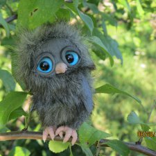 Цветочный Дим-Димыч или просто Димочка.