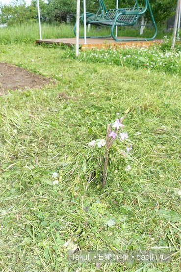 Кто живет у нас в траве? Куклы детства