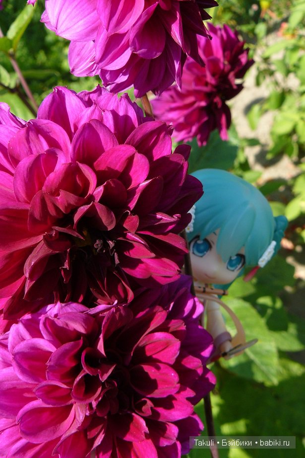 Полная луна: как прекрасно светить днем (фото 5)